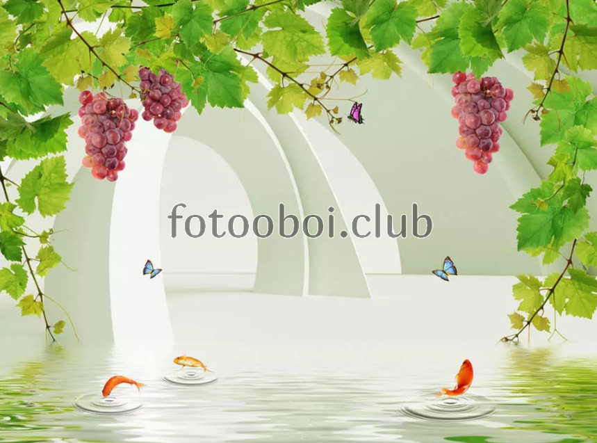 туннель, лоза, виноград, рыбки, бабочки, вода, стереоскопические